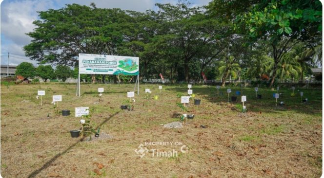 
					Penanaman 1500 pohon angsana di Taman Energi Balai Karya PT Timah Tbk di Sungailiat. 