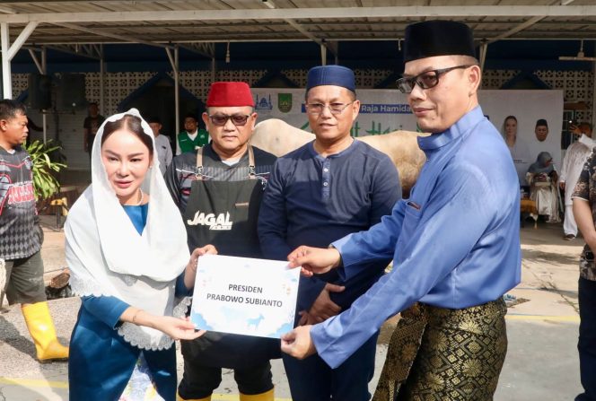 
					Plh Wali Kota Batam, Li Claudia Chandra, menyerahkan hewan kurban dari Presiden Prabowo Subianto ke Masjid Agung Raja Hamidah Batamcentre, Rabu (27/5/2026). Foto : Istimewa