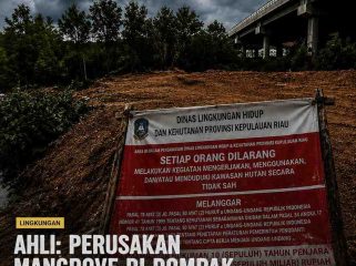 Kondisi lahan di kawasan jembatan I Dompak yang telah ditimbun, dengan plang larangan dari DLHK Kepri masih terpasang di lokasi, Selasa (19/5). 