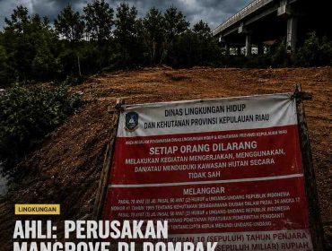 Kondisi lahan di kawasan jembatan I Dompak yang telah ditimbun, dengan plang larangan dari DLHK Kepri masih terpasang di lokasi, Selasa (19/5). 
