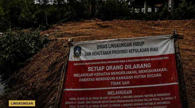Kondisi lahan di kawasan jembatan I Dompak yang telah ditimbun, dengan plang larangan dari DLHK Kepri masih terpasang di lokasi, Selasa (19/5). 