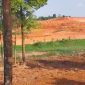 Aktivitas pematangan lahan di kawasan Jalan Hang Tuah, Nongsa, Batam, yang menjadi perhatian publik. Sejumlah pihak terkait masih diupayakan untuk dikonfirmasi guna memperoleh penjelasan mengenai kegiatan tersebut. 