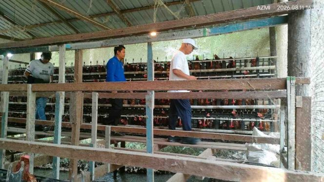 
					Ketua Komisi III DPRD Kabupaten Kepulauan Anambas Adnan (paling belakang) bersama Bupati Kepulauan Anambas Aneng (paling depan) saat meninjau peternakan ayam petelur BUMDes Amanah di Desa Teluk Siantan, Kecamatan Siantan Tengah, Selasa (11/8/2026).