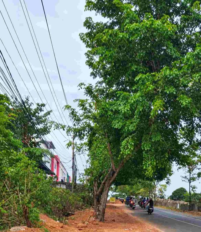 
					Aktivitas proyek pemasangan jaringan pipa JDU di Jalan Raja Haji Fisabilillah, Kota Tanjungpinang, Jumat (25/9/2026) sekitar pukul 16.23 WIB. Sejumlah rambu pekerjaan terlihat terpasang di sekitar area proyek. Saat dokumentasi dilakukan, belum terlihat petugas khusus yang mengatur arus lalu lintas, sementara kendaraan masih melintas dan kondisi arus cukup ramai.