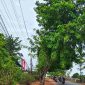 Aktivitas proyek pemasangan jaringan pipa JDU di Jalan Raja Haji Fisabilillah, Kota Tanjungpinang, Jumat (25/9/2026) sekitar pukul 16.23 WIB. Sejumlah rambu pekerjaan terlihat terpasang di sekitar area proyek. Saat dokumentasi dilakukan, belum terlihat petugas khusus yang mengatur arus lalu lintas, sementara kendaraan masih melintas dan kondisi arus cukup ramai.
