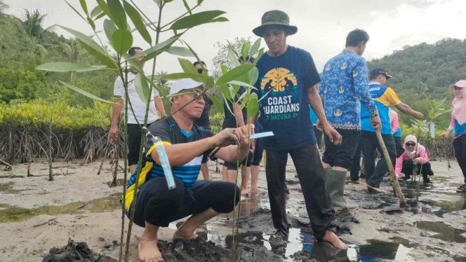 
					Bupati Kepulauan Anambas Aneng dan jajaran menanam pohon mangrove di Pantai Senggalong, Desa Temburun, Kecamatan Siantan Timur, Kamis (1/10/2026).